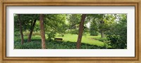 Trees in a park, Adams Park, Wheaton, Illinois, USA Fine Art Print