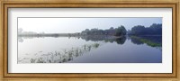 Standing floodwater, Mississippi River, Illinois, USA Fine Art Print
