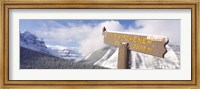 Clark's Nutcracker (Nucifraga columbiana) perching on mountain sign, Mt. Kitchener, Jasper National Park, Alberta, Canada Fine Art Print