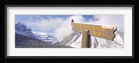 Clark's Nutcracker (Nucifraga columbiana) perching on mountain sign, Mt. Kitchener, Jasper National Park, Alberta, Canada Fine Art Print