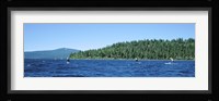 Tourists paddle boarding in a lake, Lake Tahoe, California, USA Fine Art Print