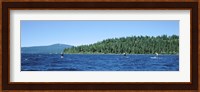Tourists paddle boarding in a lake, Lake Tahoe, California, USA Fine Art Print