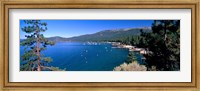 Trees with lake in the background, Lake Tahoe, California, USA Fine Art Print