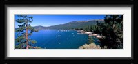 Trees with lake in the background, Lake Tahoe, California, USA Fine Art Print