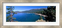 Trees with lake in the background, Lake Tahoe, California, USA Fine Art Print