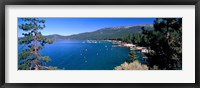 Trees with lake in the background, Lake Tahoe, California, USA Fine Art Print