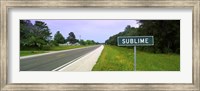 Road passing through a field, Sublime, Lavaca County, Texas, USA Fine Art Print