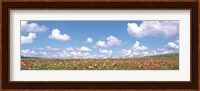 Meadow flowers with cloudy sky in background Fine Art Print