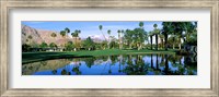 Reflection of trees on water, Thunderbird Country Club, Rancho Mirage, Riverside County, California, USA Fine Art Print
