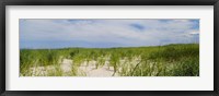 Sand dunes at Crane Beach, Ipswich, Essex County, Massachusetts, USA Fine Art Print