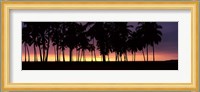 Silhouette of palm trees on the beach, Puuhonua o Honaunau National Historical Park, Big Island, Hawaii, USA Fine Art Print