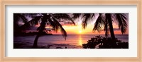 Palm trees on the coast, Kohala Coast, Big Island, Hawaii, USA Fine Art Print