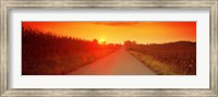 Country road at sunset, Milton, Northumberland County, Pennsylvania, USA Fine Art Print