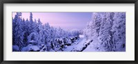 Snow covered trees in a forest, Imatra, Finland Fine Art Print