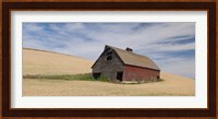 Barn in a wheat field, Colfax, Whitman County, Washington State, USA Fine Art Print