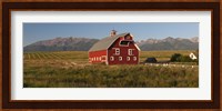 Barn in a field with a Wallowa Mountains in the background, Enterprise, Wallowa County, Oregon, USA Fine Art Print