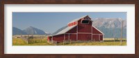 Barn in a field with a Wallowa Mountains in the background, Joseph, Wallowa County, Oregon, USA Fine Art Print