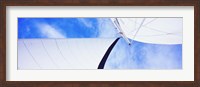 Low angle view of sails on a Sailboat, Gulf of California, La Paz, Baja California Sur, Mexico Fine Art Print