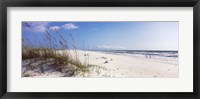 Tall grass on the beach, Perdido Key Area, Gulf Islands National Seashore, Pensacola, Florida, USA Fine Art Print