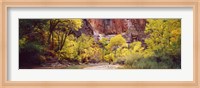 Creek at sunset, Death Valley, California, USA Fine Art Print