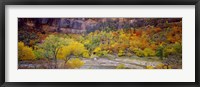Big Bend in fall, Zion National Park, Utah, USA Fine Art Print