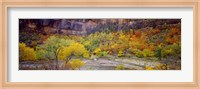 Big Bend in fall, Zion National Park, Utah, USA Fine Art Print
