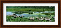 Boats in Hoang Long River, Kenh Ga, Ninh Binh, Vietnam Fine Art Print
