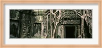 Ruins of Ta Prohm Temple, Angkor, Cambodia Fine Art Print
