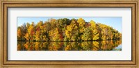 Reflection of trees in a lake, Strawbridge Lake, Moorestown, New Jersey, USA Fine Art Print