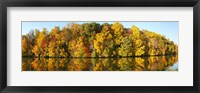 Reflection of trees in a lake, Strawbridge Lake, Moorestown, New Jersey, USA Fine Art Print