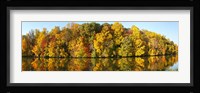 Reflection of trees in a lake, Strawbridge Lake, Moorestown, New Jersey, USA Fine Art Print