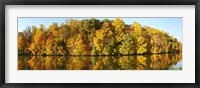 Reflection of trees in a lake, Strawbridge Lake, Moorestown, New Jersey, USA Fine Art Print