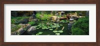 Japanese Garden at University of California Fine Art Print