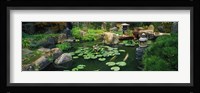 Japanese Garden at University of California Fine Art Print
