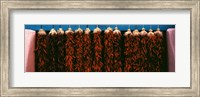 Red peppers drying, New Mexico, USA Fine Art Print
