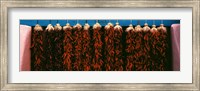 Red peppers drying, New Mexico, USA Fine Art Print