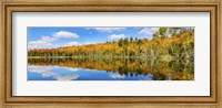 Reflection of trees in a lake, Pete's Lake, Schoolcraft County, Upper Peninsula, Michigan, USA Fine Art Print