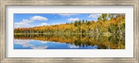 Reflection of trees in a lake, Pete's Lake, Schoolcraft County, Upper Peninsula, Michigan, USA Fine Art Print
