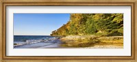 Trees on the beach, Miner's Beach, Pictured Rocks National Lakeshore, Upper Peninsula, Michigan, USA Fine Art Print