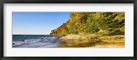 Trees on the beach, Miner's Beach, Pictured Rocks National Lakeshore, Upper Peninsula, Michigan, USA Fine Art Print