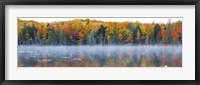 Trees in autumn at Lake Hiawatha, Alger County, Upper Peninsula, Michigan, USA Fine Art Print