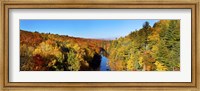 Trees in Autumn at Dead River, Michigan Fine Art Print