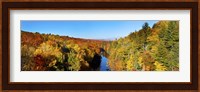 Trees in Autumn at Dead River, Michigan Fine Art Print