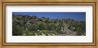 Road Through The Desert, Phoenix, Arizona, USA Fine Art Print