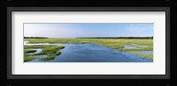 Sea grass in the sea, Atlantic Coast, Jacksonville, Florida, USA Fine Art Print