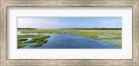 Sea grass in the sea, Atlantic Coast, Jacksonville, Florida, USA Fine Art Print