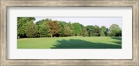 Trees on a golf course, Woodholme Country Club, Baltimore, Maryland, USA Fine Art Print