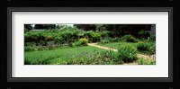 USA, Virginia, Williamsburg, colonial garden Fine Art Print