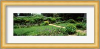 USA, Virginia, Williamsburg, colonial garden Fine Art Print