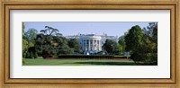 Lawn in front of a government building, White House, Washington DC, USA Fine Art Print